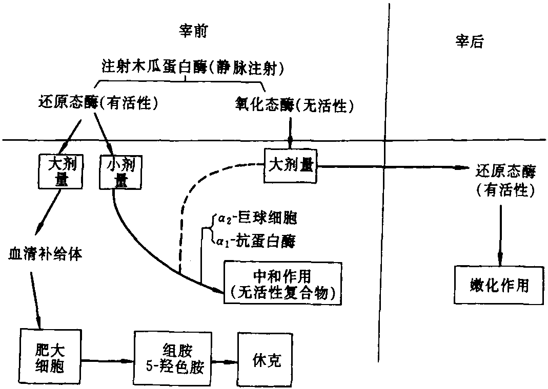 第五節(jié) 肉類加工